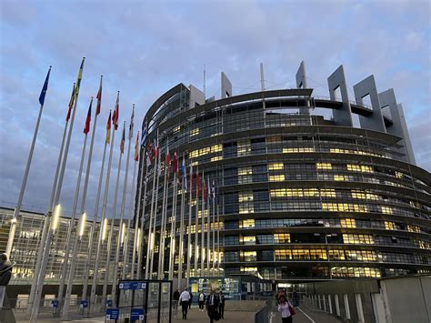 Europos Parlamento atstovo kalba apie gyvūnų gerovę