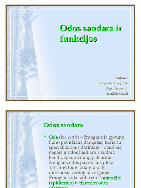 Placentos sandara ir funkcijos