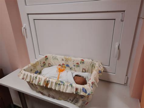 „Gyvybės langelio“ schema, parodanti kapsulę pastato sienoje ir viduje esantį lopšį