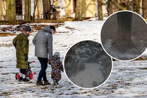 Vaikų darželio kiemas su medžiais