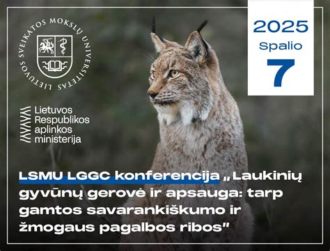 Laukinių gyvūnų gelbėjimo centro veikla