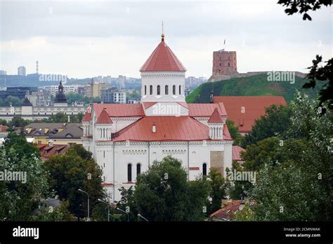 Vilniaus Dievo Motinos Ėmimo į dangų katedros vaizdas
