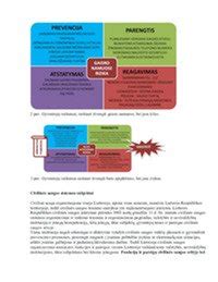 Scheminis pavaizdavimas