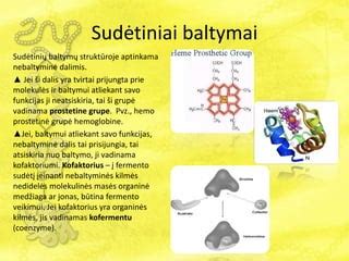Molekulinės struktūros, pavaizduojančios baltymus ir aminorūgštis, veikiančias plauko augimą.