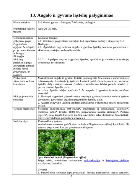 Savarankiškos veiklos formų palyginimas