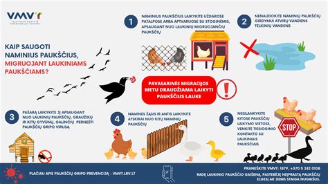 Paukščių gripo prevencijos patarimai