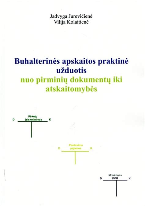 Buhalterinės apskaitos dokumentų tvarkymo schema