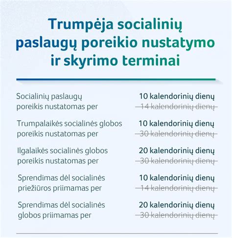 Socialinės globos poreikio nustatymo procesų schema