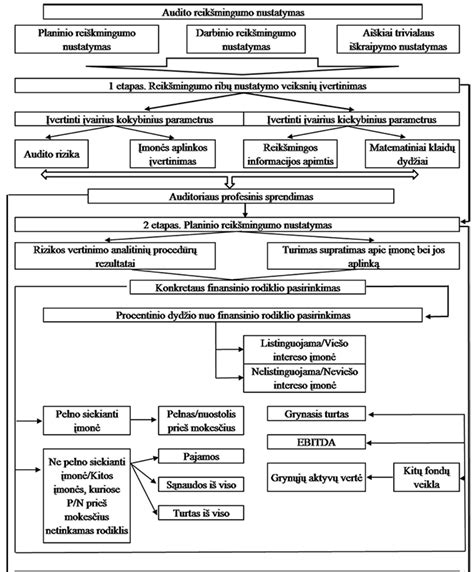 Teisminės tėvystės nustatymo proceso diagrama
