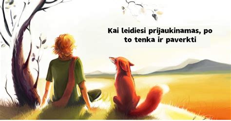 Mažojo princo knygos viršelis
