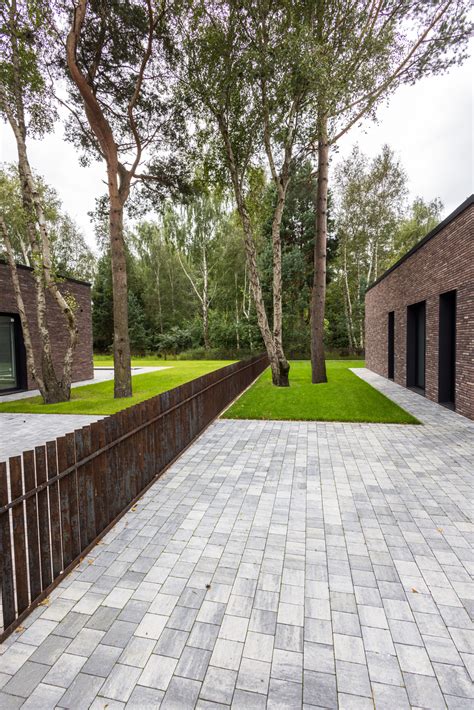 Siūlių priežiūra ir gijimas