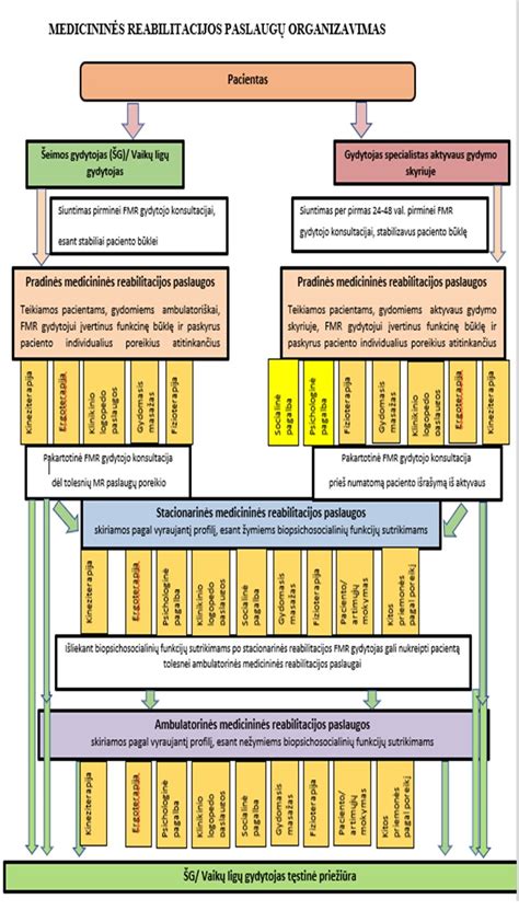 medicininės konsultacijos schema