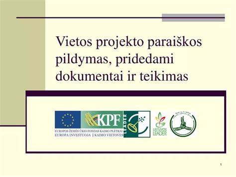Formų pildymas ir dokumentų teikimas