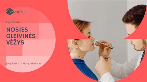 Schematinis nosies gleivinės pavaizdavimas su kraujagyslėmis