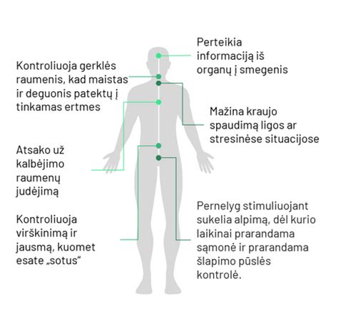 Kiaušidžių stimuliacija ultragarsu