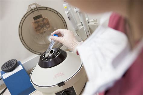 Apvaisinimas in vitro laboratorijoje