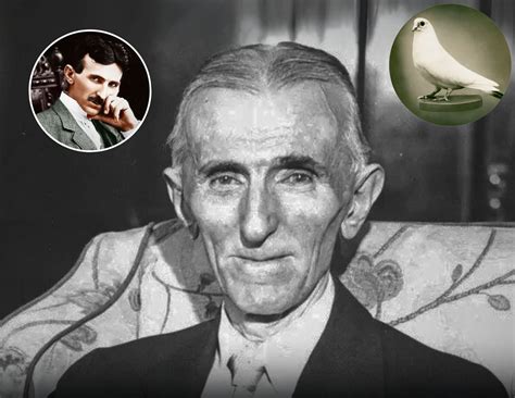 Nikola Tesla ir balandis