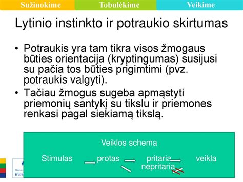 Nutraukto lytinio akto schema