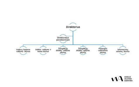 schema vaistų patekimo į pieną