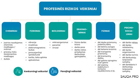 Rizikos faktorių infografika