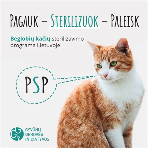 Infografika: Programa 