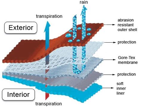 Gore-Tex membranos schema