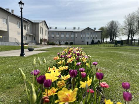 Telšių krašto socialinės globos įstaiga