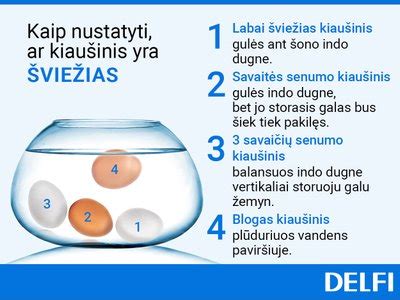 kiaušinio plūdrumo testas