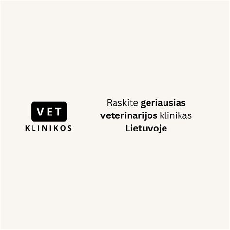 Veterinarijos klinikos interjeras su gyvūnų savininkais