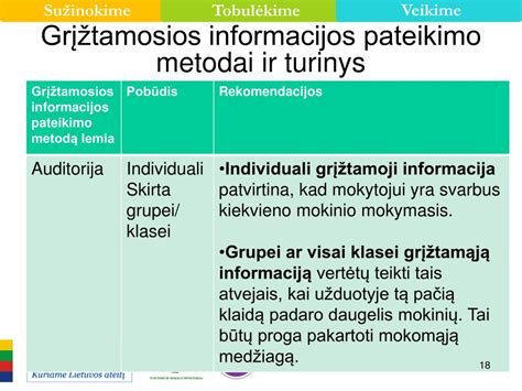 Informacijos pateikimo schema
