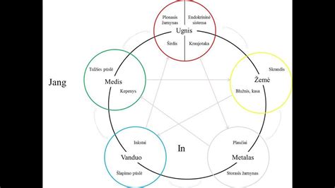 Kinų penkių elementų ciklas ir jų tarpusavio sąveika