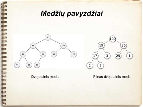 Medžio elemento vaizdavimas ir jo savybės