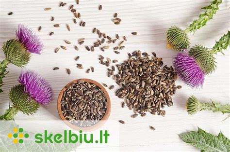 Margainio aliejaus buteliukas ir margainio sėklos