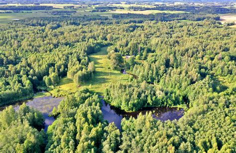 Gruzdžių miestelio panorama su pastatais