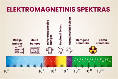 Šizofrenijos simptomų spektras