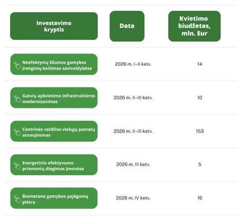 Finansinės paramos globėjams apžvalga