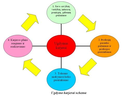 grafinė schema apie gyvenimo etapus ir asmenybės augimą