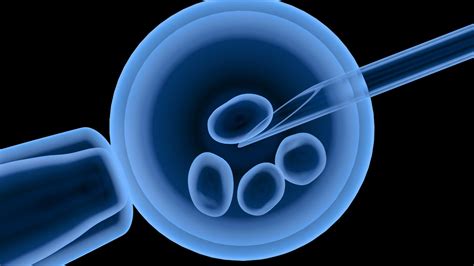 In vitro apvaisinimo (IVF) procesas