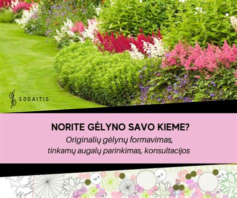 Gėlyno prie sauso medžio eskizas