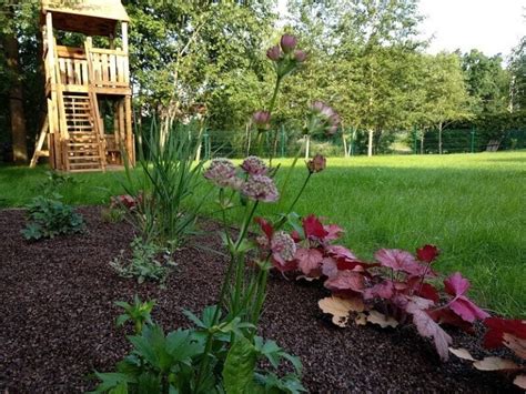 Pavyzdys gražaus gėlyno prie sauso medžio