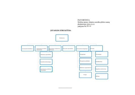 Infografika: senelių globos namų finansavimo struktūra