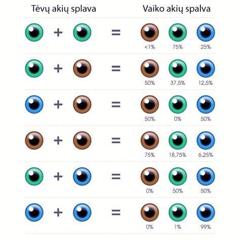 Genetikos diagrama: tėvų akių spalvos ir tikimybės