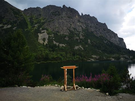 Vaizdas į kalnus, kur galėjo įvykti nelaimė