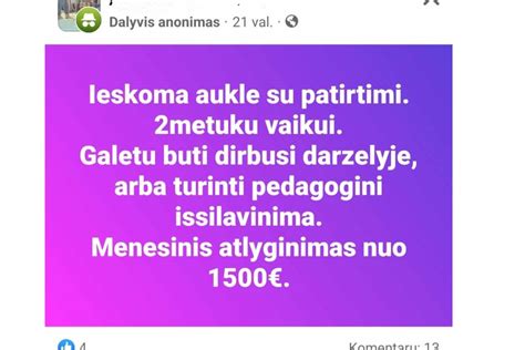 Auklės paieškos variantai