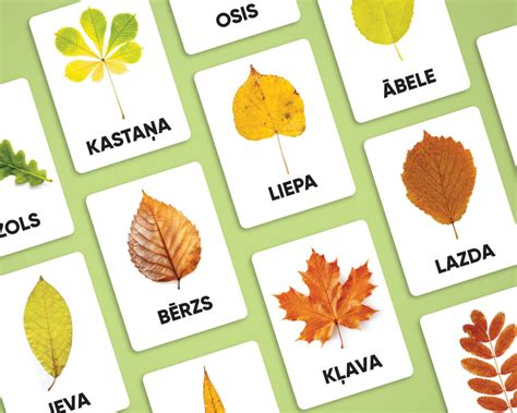 Vaiko rankose laikomas rudens lapas