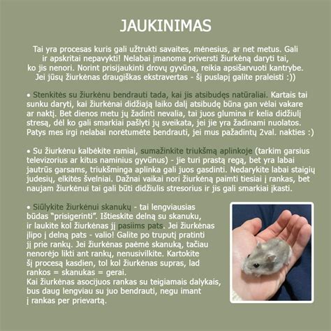 Placentinių žinduolių jauniklių gimimo skirtumai