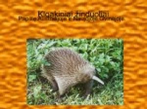 Echidnos kiaušiniai ir jaunikliai