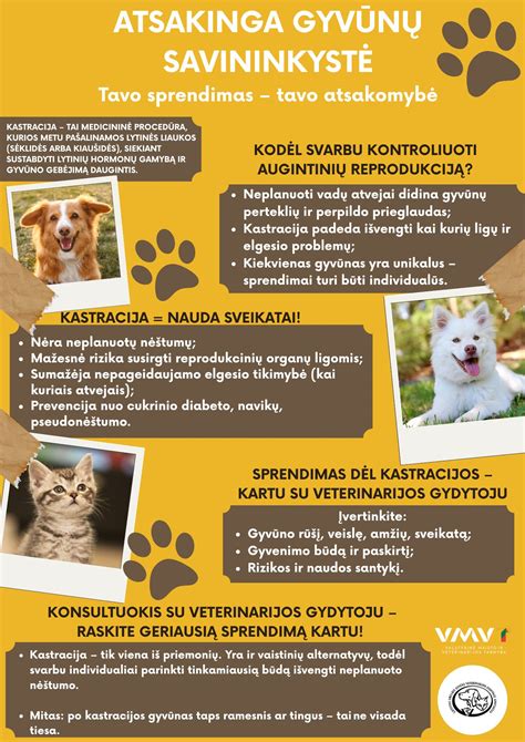 Gyvūnų ženklinimo procedūra