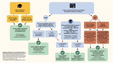 Informatyvinė schema apie švietimo ir sporto paslaugas