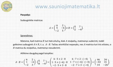 Integralinės astro-numerologinės matricos-mandalos pavyzdys